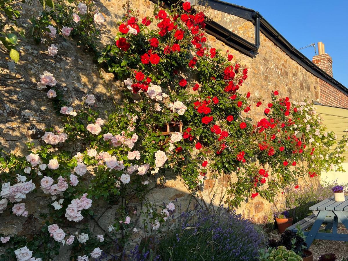 Bed and Breakfast Penwyth House New Quay Exterior foto