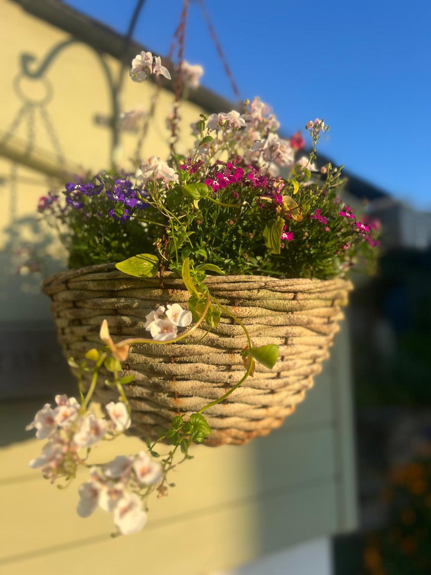 Bed and Breakfast Penwyth House New Quay Exterior foto